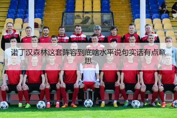 nuo-ding-han-sen-lin-zhe-tao-zhen-rong-dao-di-sha-shui-ping-shuo-ju-shi-hua-you-dian-yi-si-2-179.jpg