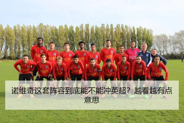 诺维奇这套阵容到底能不能冲英超？越看越有点意思
