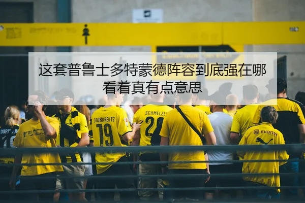 这套普鲁士多特蒙德阵容到底强在哪 看着真有点意思