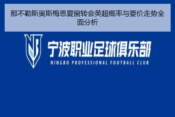 那不勒斯奥斯梅恩夏窗转会英超概率与要价走势全面分析