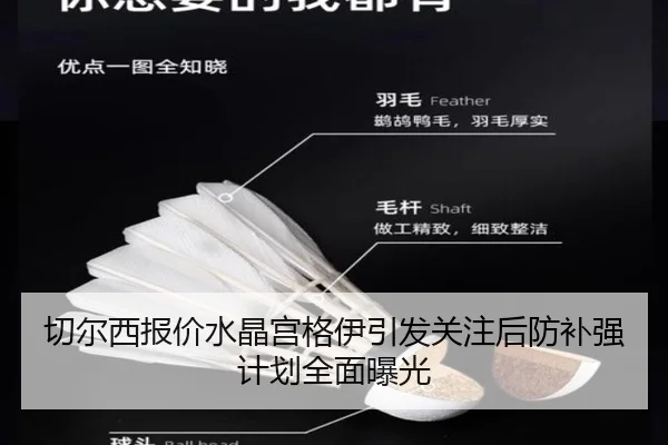 切尔西报价水晶宫格伊引发关注后防补强计划全面曝光
