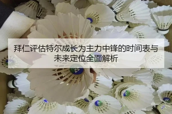 拜仁评估特尔成长为主力中锋的时间表与未来定位全面解析